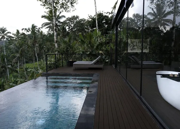 The Ruler Bali
