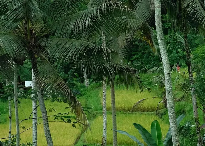 The Ruler Bali Villa