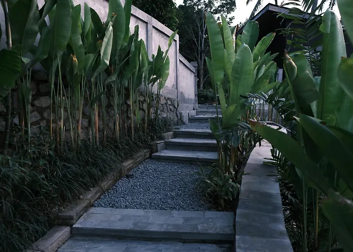 The Ruler Bali